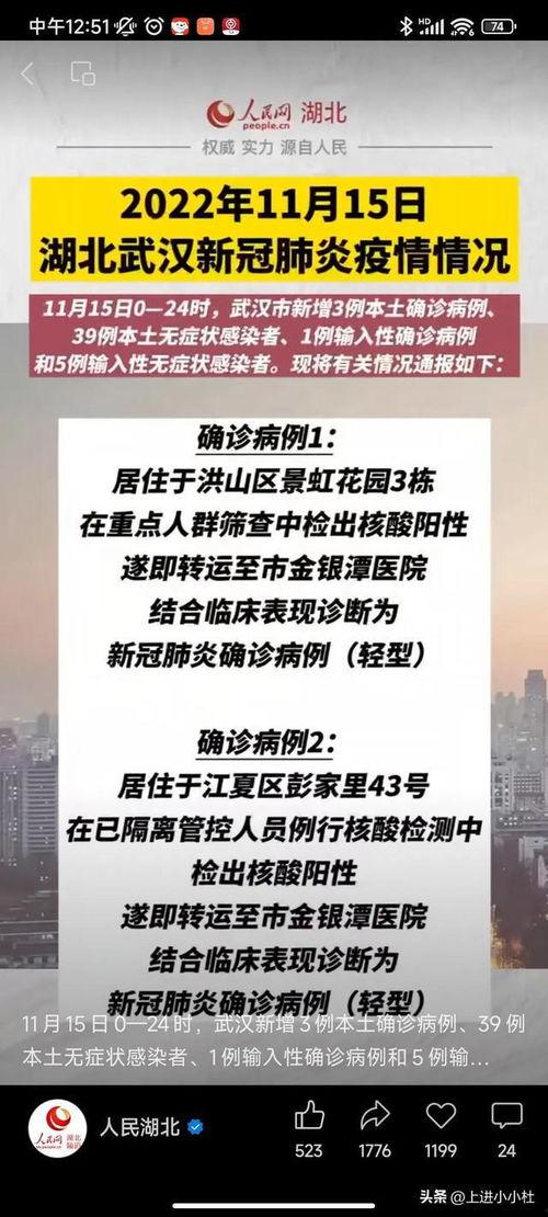 湖北爆料最新消息今天,突发事件引发社会关注
